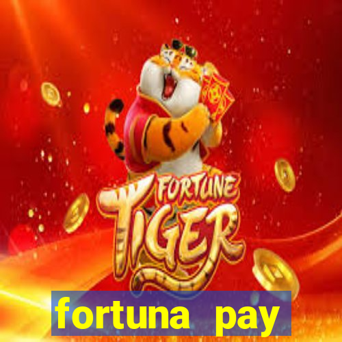 fortuna pay consultoria financeira ltda